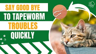 Best Remedies To Treat Tapeworm In Cats [upl. by Bast]