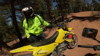 DRZ400E vs DRZ400S Trail ride Review  which one should you get [upl. by Giule686]