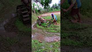 Joki Traktor Berselancar Di Sawah pakai Traktor Sawah Traktor Tractor Traktorsawah [upl. by Camilia740]