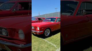 1966 Ford Mustang GT Fastback musclecar ponycar classicmustang fordmustang shortsvideo [upl. by Aisekal583]