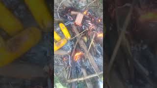 BAKAR JAGUNG MANIS DI TEPI SUNGAI [upl. by Vanderhoek]