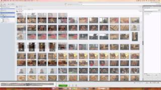 Tutorial How to Get Your Photos Out of Picasa [upl. by Faun]