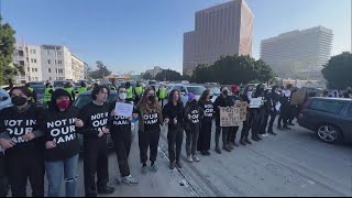 Protesters Calling for Ceasefire Shut Down Freeway [upl. by Krid699]