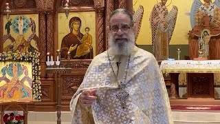 St Joseph the Hesychast  Homily by Fr Panayiotis 08162020 [upl. by Ellehcrad]