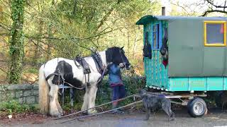 Horse Drawn Traveller in Britain [upl. by Vyky]