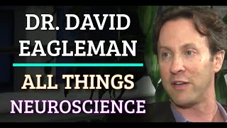 Dr David Eagleman  All Things Neuroscience [upl. by Cos196]