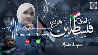 Main Palestine Hun 💙  Slowed  Reverb  Alisha Kiyani [upl. by Airdnola218]