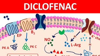 Diclofenac Tablets amp gel  New mechanism precautions amp side effects [upl. by Ayanal651]