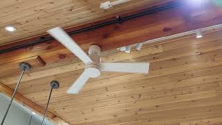 REPLACED 52quot Modern Forms Axis Ceiling Fan [upl. by Ilil]