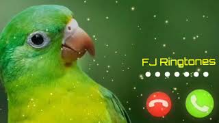 Abe Yar New Sms Ringtone Funny Ringtone Alarm Ringtone Call Ringtone Notification Ringtone 2024 [upl. by Laurin]