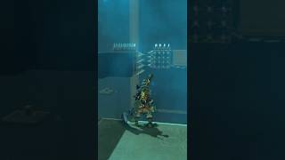 Shrine Shortcut The Legend of Zelda Breath of the Wild [upl. by Kung]