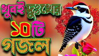 10 beatifull islamic songs  best gojol 2024  bm shihab uddin  Tarik 22524 251 [upl. by Adalia]