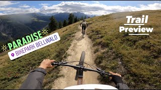 Der beste Flowtrail der Schweiz  Trail Preview quotForest Bumpquot Bellwald  ft Lukas [upl. by Specht]