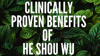 Top Clinically Proven Benefits of He Shou Wu [upl. by Egbert]