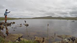 Første kast på Hardangervidda [upl. by Phenica676]