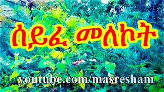 ሰይፈ መለኮት  Seife Melekot [upl. by Bathsheb]