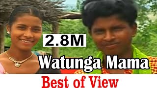 Watunga Mama  Gondi Geet   Pandurang Meshram  New Gondi Song [upl. by Akilaz369]