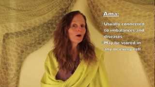 How to Eliminate Ama  Ayurveda Toxins [upl. by Ani]