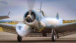 Old RADIAL ENGINES Cold Starting Up and Loud Sound 16 [upl. by Gypsie]