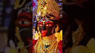 জয় মা কালী 🙏🌺🙏 rieles shortviral song kalipuja2024 [upl. by Elimay960]