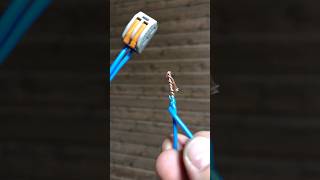 TWO WIRE CONNECTION OPTIONS tools shortvideo diy wago 220volt lifehacks satisfyingworkers [upl. by Alleen]