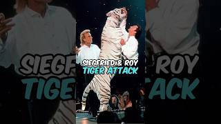 The TRUTH About The Siegfried And Roy Tiger Attack  Joe Rogan [upl. by Sillyhp]