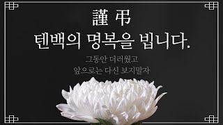 이 전술 쓰고도 텐백 못잡으면 절 욕하세요 [upl. by Icyaj805]