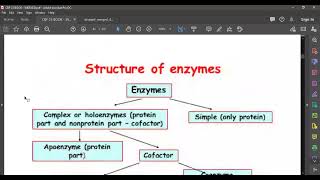 L14 Enzymology I [upl. by Eceerehs]