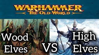 Warhammer THE OLD WORLD Battle Report  Wood Elves vs High Elves [upl. by Hayyikaz947]