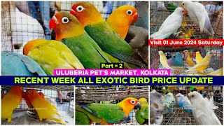 Uluberia Pets Market  Recent Week All Exotic Bird Price Update  01062024  Uluberia Bird Market [upl. by Rimma]