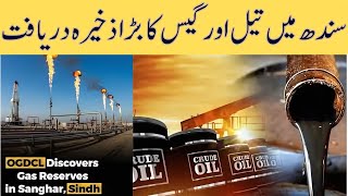 Large oil and gas deposit discovered in Sindh  Urdu  ViewPoint [upl. by Pendergast43]