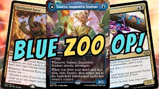 Tamiyo AND Frog are Broken in ZOO  Modern  MTGO [upl. by Ruscher]