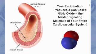 Endothelial Health Webinar [upl. by Burroughs]