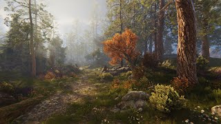 Rocky Hills Forest  Demo [upl. by Erkan]