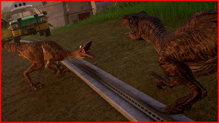 Troodon VS Velociraptor  Jurassic Clash  Jurassic World Evolution 2 [upl. by Amirak269]