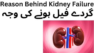 Kidney Failure ReasonsCauses Of Kidney Failure [upl. by Batchelor]