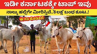 ಇಡೀ ಕರ್ನಾಟಕದಲ್ಲೇ ಟಾಪ್ ಇವು l Hallikar bull in Karnataka l hallikar hori cow Kannada l Krushi Farming [upl. by Olivie]