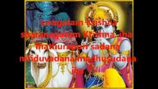 swagatham krishnaaayesudas with lyrics [upl. by Noyerb]