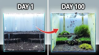 The Shrimp Wonderland Shrimp Tank Setup for Caridina Step By Step with Mini Aquascape [upl. by Fraase]