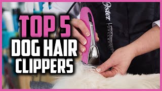 ✅Top 5 Best dog hair clippers in 2024 [upl. by Neal]