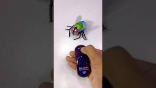 BRAWL ATHLETIX Infrared Remote Control Simulation Housefly RC Animalhousefly shorts [upl. by Eimmelc322]