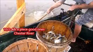 THE REAL Jake Phelps Maryland Crabbing [upl. by Eliades]