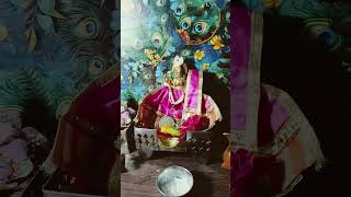 song music bagheli  Kamla Shukla Rewa viral video Hindu [upl. by Enyal]