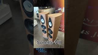 Sonetto VIII [upl. by Betthezul]