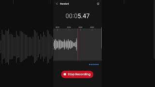 Voice Recorder App [upl. by Milton500]