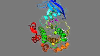 Insulin receptor tyrosine kinase drug pocket binding a nonATPcompetitive inhibitor [upl. by Jack]