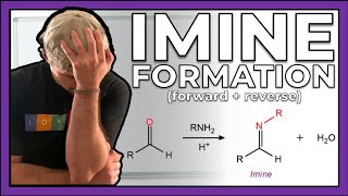 Imine Formation Mechanism Forward and Reverse Directions [upl. by Randolf504]