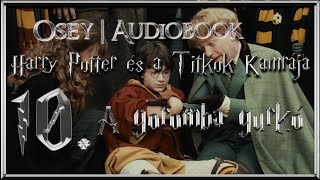 Harry Potter és a Titkok Kamrája hangoskönyv  10 fejezet [upl. by Valentino404]