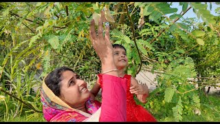 বকফুলের মজার পাকোড়া  Village life with Shampa [upl. by Marcos]