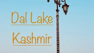 Dal Lake  Srinagar  Kashmir  Kishtwariyat  Trending Yt Short shortvideo ytshorts kashmir [upl. by Harvard]